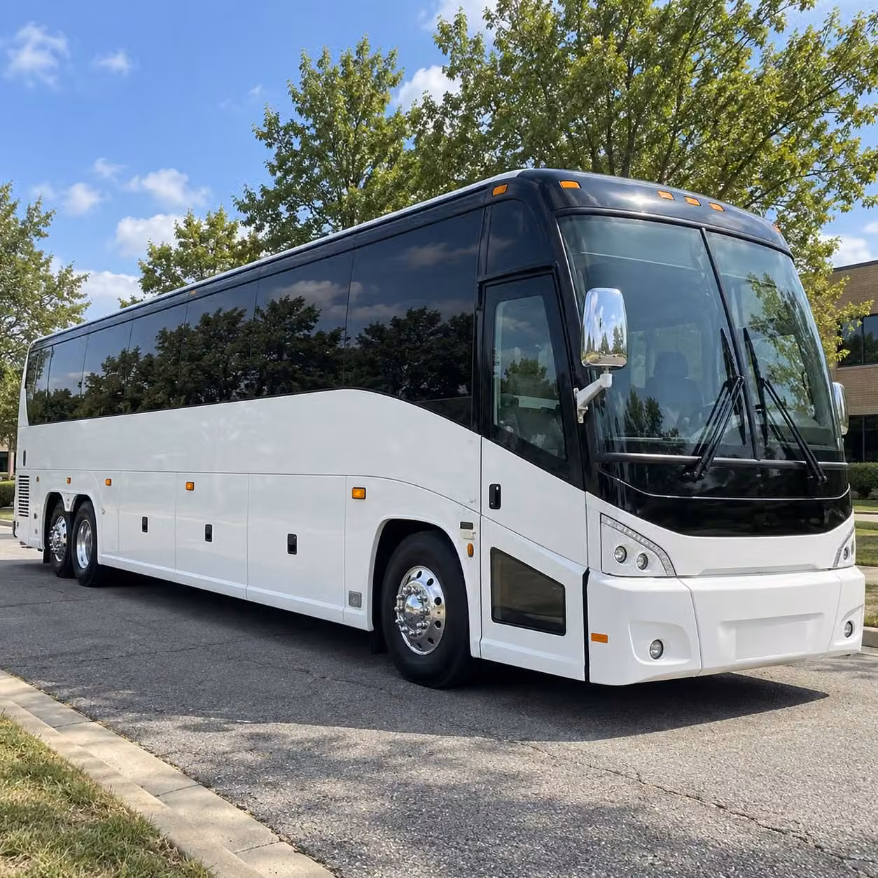 westland prom homecoming transportation services